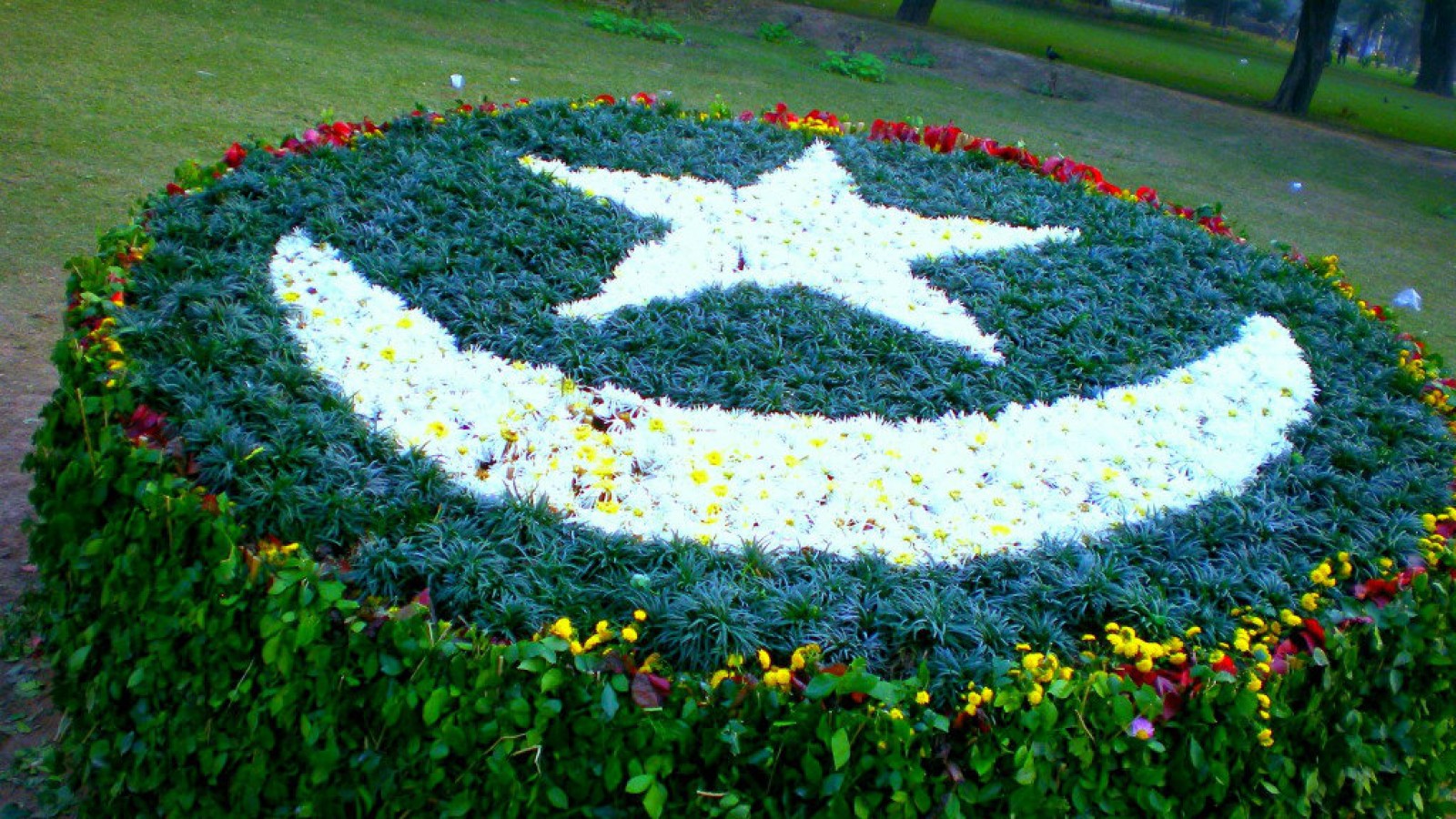 Pakistani Flag Art with Grass and Flowers-1600x900 HD ...