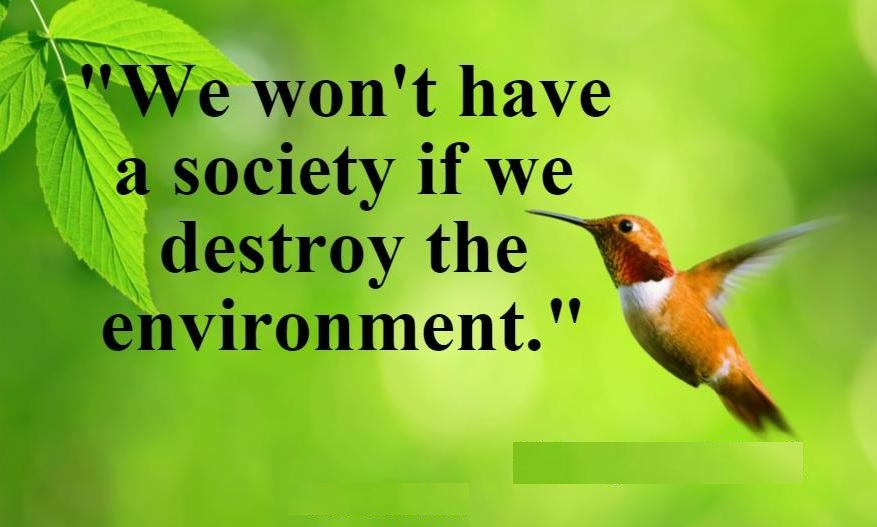 environment-day-quote