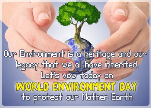 world-environment-day-to-protect-our-mother-land