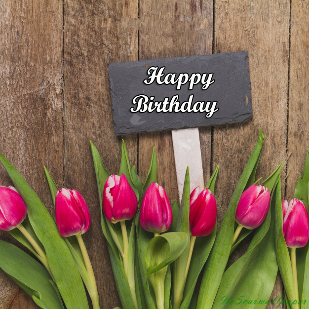 Happy-Birthday-Photos-Images-Hd-Wallpapers-Quotes