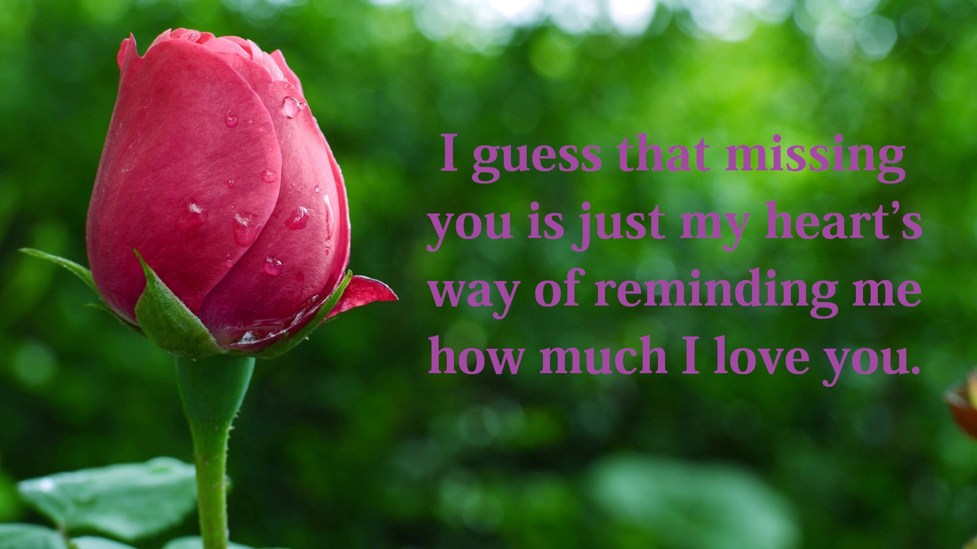 I-Miss-You-My-Heart-Quotes-Pics-and-Images-Wallpapers
