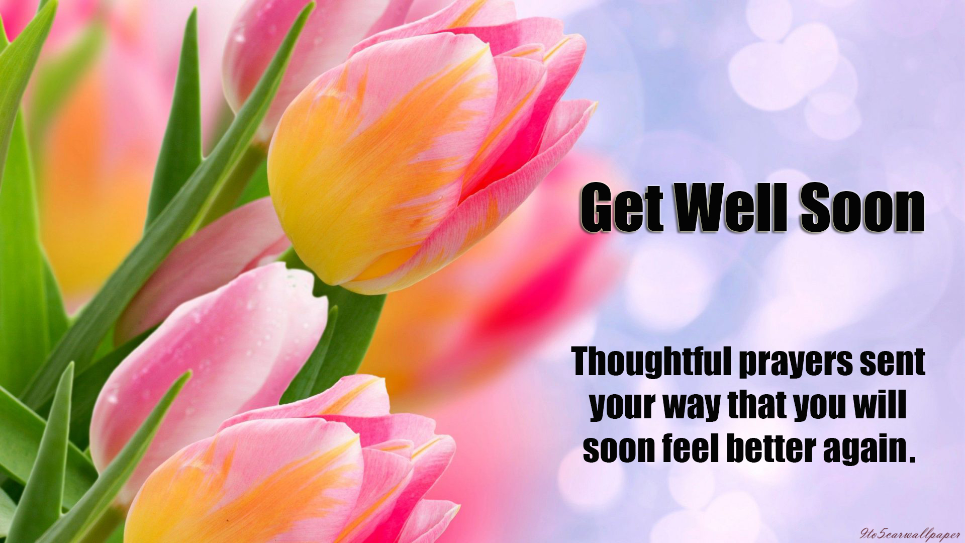 get-well-quotes-2018-wishes-cards-wallpapersget-well-quotes-2018-wishes-cards-wallpapers