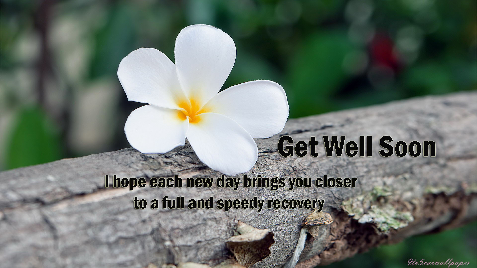 get-well-images-cards-posters