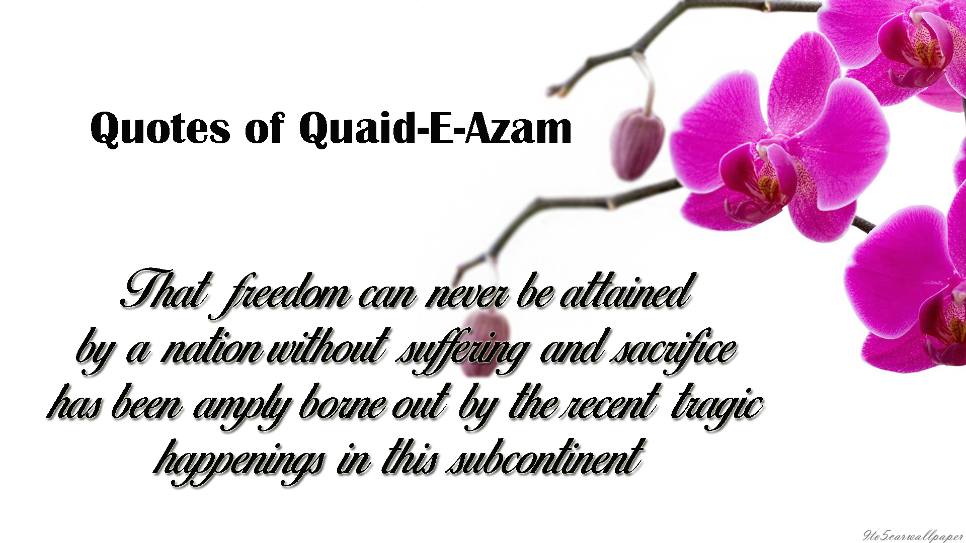 sayings-of-quaid-e-Azam-images-quotes-wallpapers-posters-cards