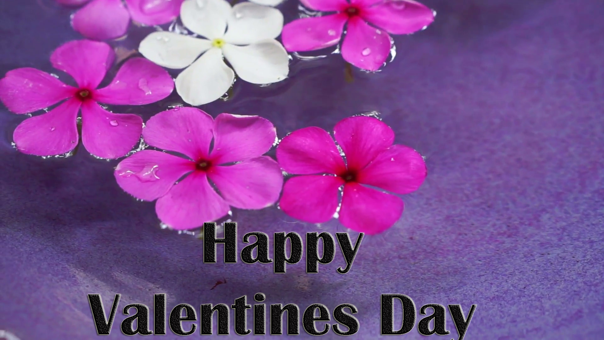 valentines-day-card-images