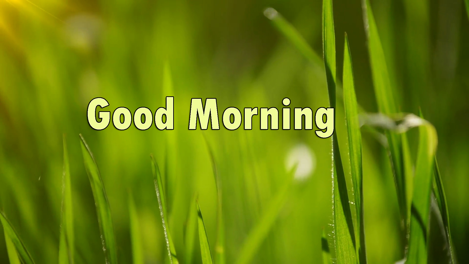 good-morning-images-card