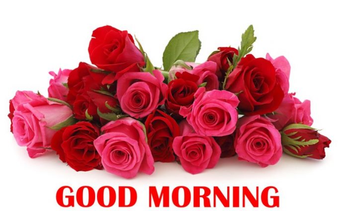Pink-Red-Roses-Happy-Fresh-Good-Morning-Wishes-Hd-Wallpapers-Download
