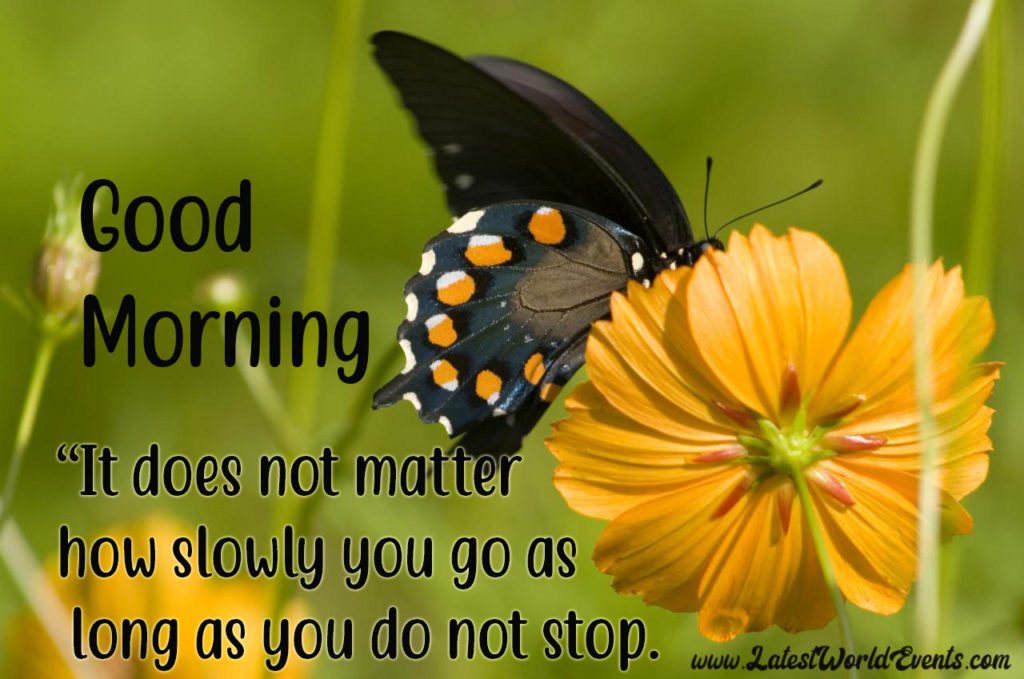 Free-Download-good-morning-images-with-inspirational-quotes-download