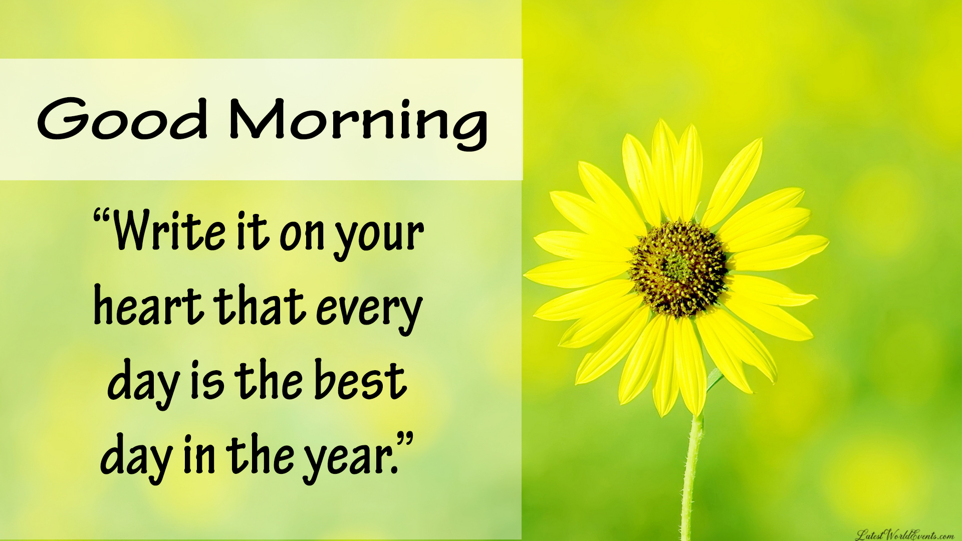 Download-good-morning-my friend-pictures-images-and-photos