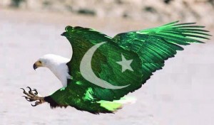 download 14 August 2012 Pakistan Flag Shaheen Eagle Wallpapers