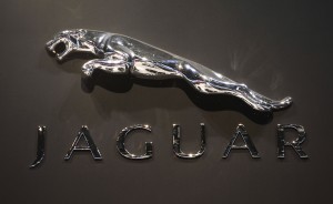 The logo for Jaguar on display at the Chicago Auto Show
