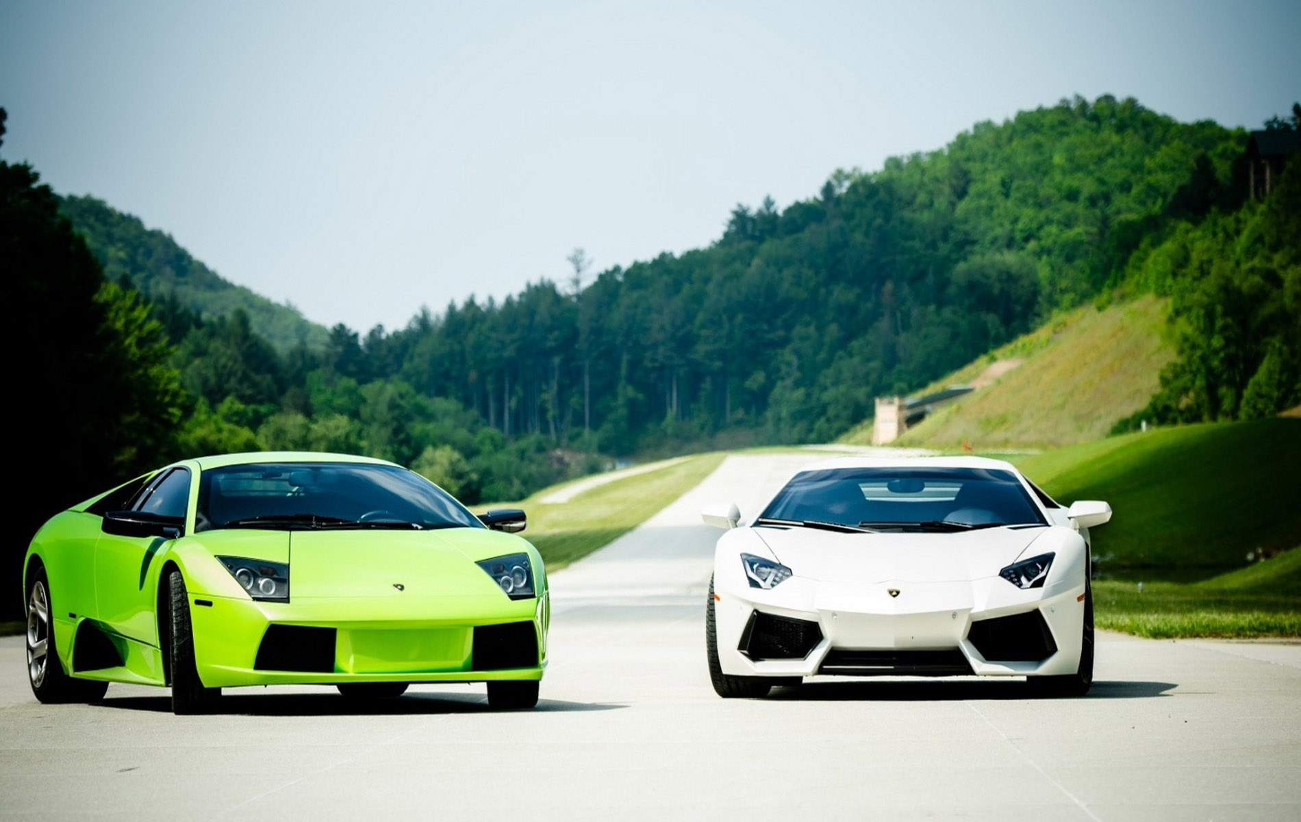 Green n White Lamborghini HdWallpaper - 9to5 Car Wallpapers
