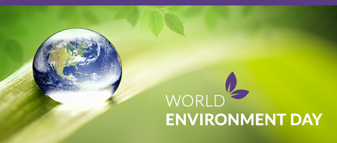 World Environment Day 2017 world environment - My Site