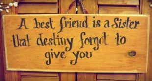 Cute Quotes For Friendship