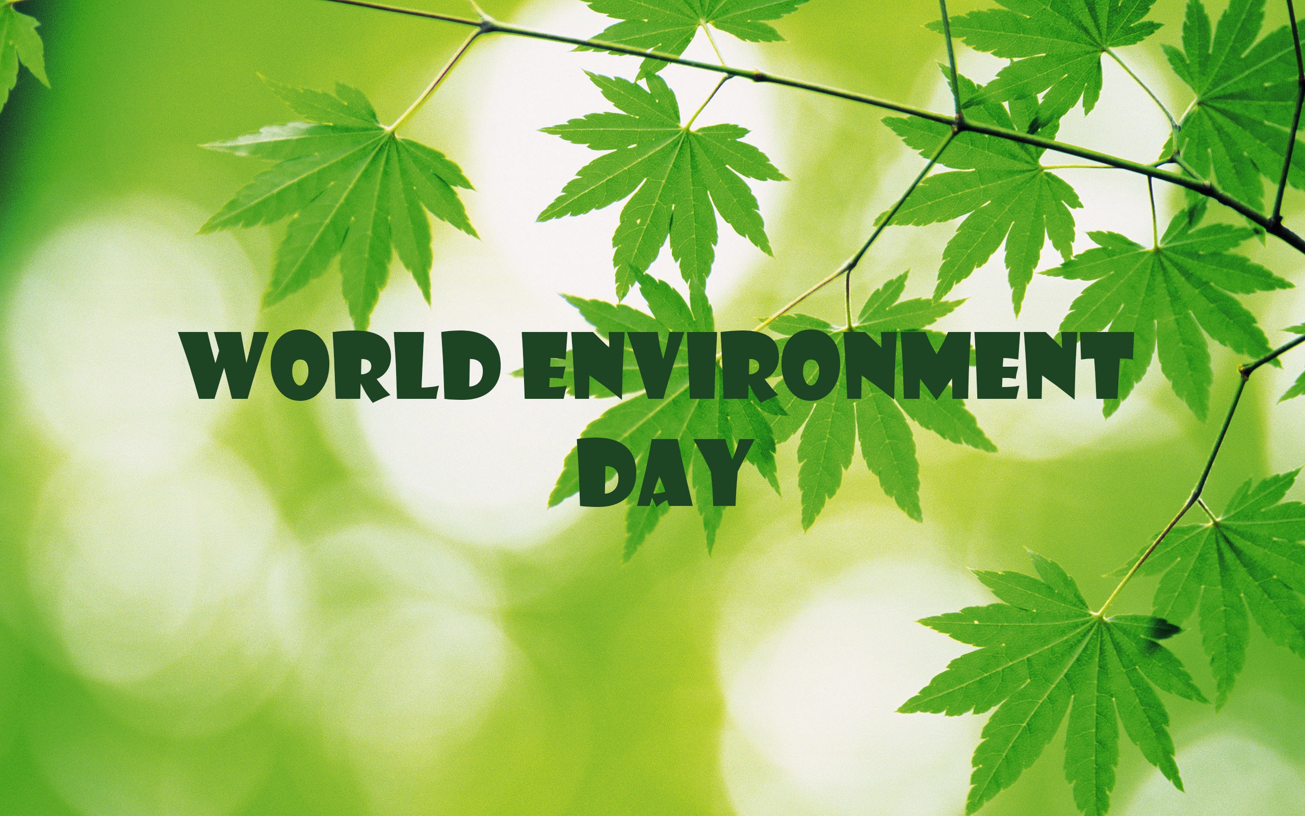 environment day plant save trees wallpaper