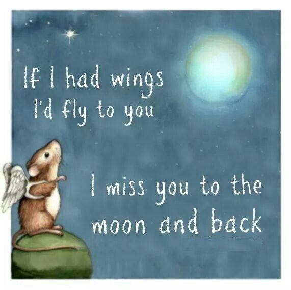 miss-you-moon