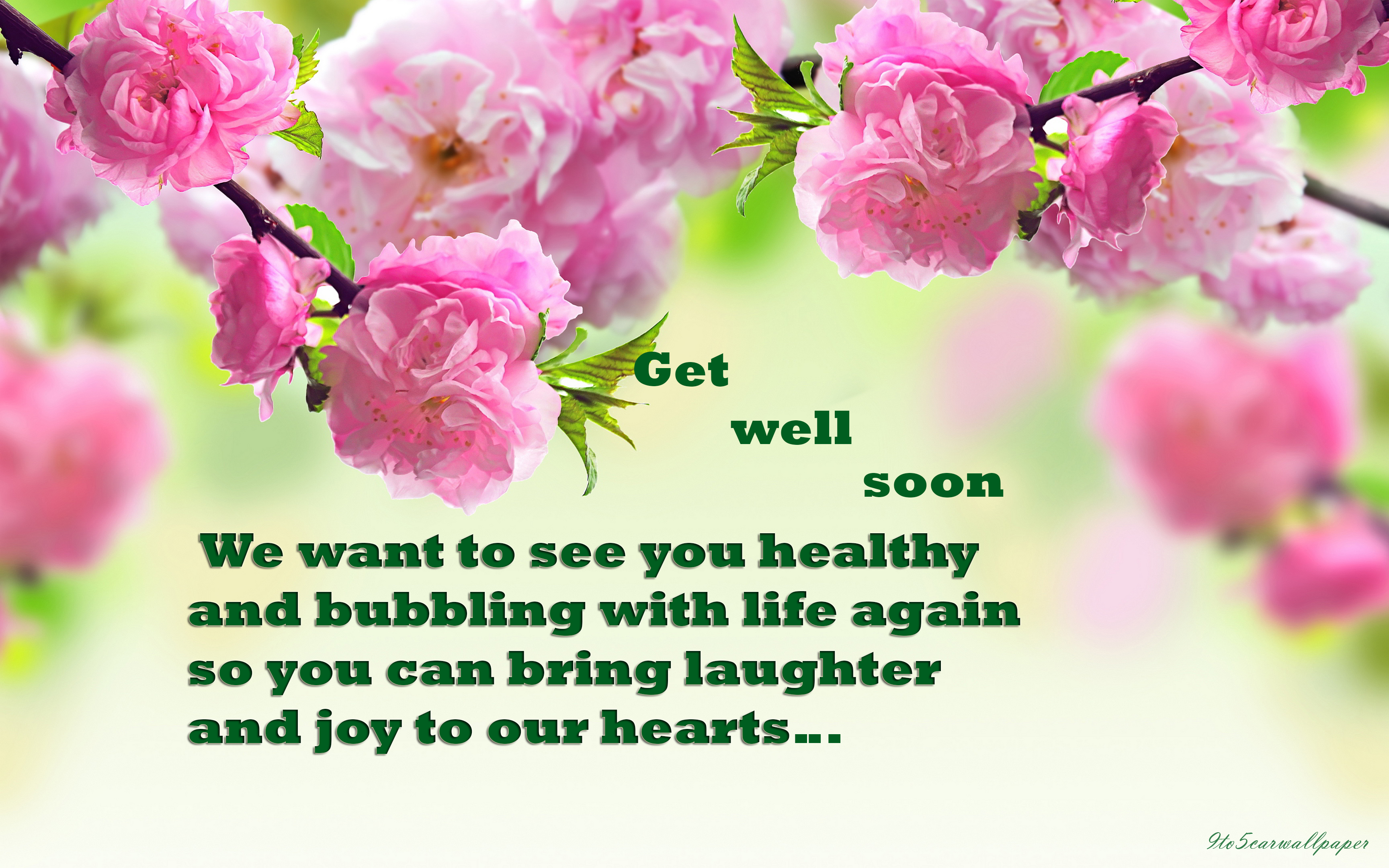 Get Well Soon Quotes Get Well Soon Messages For Loved Ones - Riset