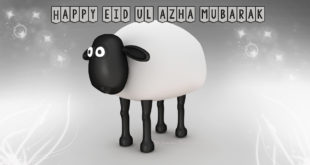 Happy-Eid-ul-Adha-free-hd-wallpapers-images