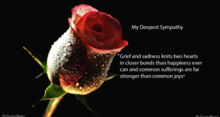 my-deepest-sympathy-condolence-quotes-messages-hd-wallpapers