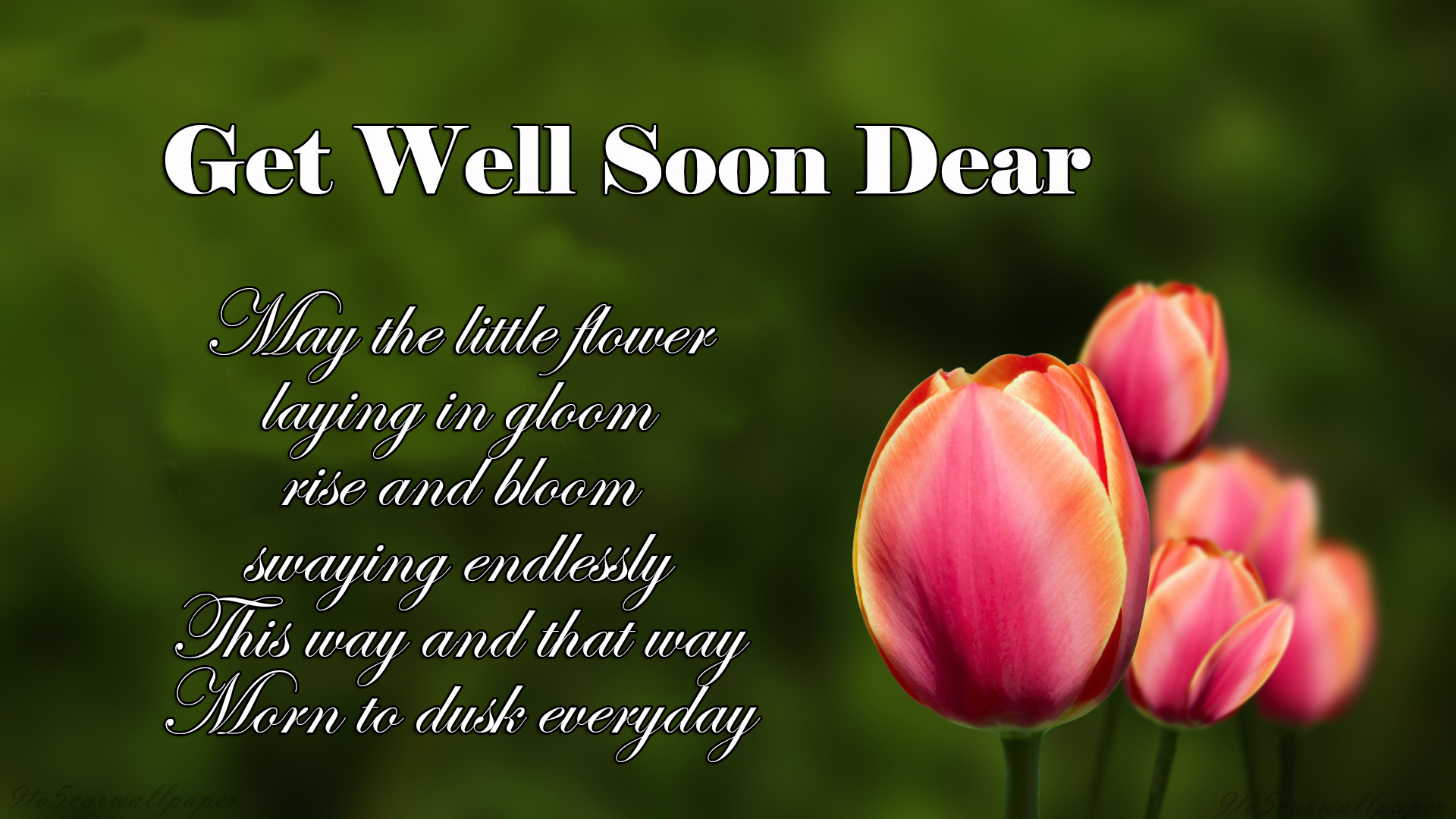 get-well-soon-quotes-wishes-posters-pics-sms
