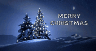 Beautiful-Christmas-Trees-cards