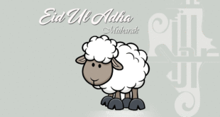 eid-ai-adha-gif-background-animations-card-posters-images