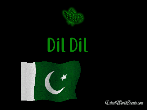2019-pakistan-flag-animated-gif-download-free
