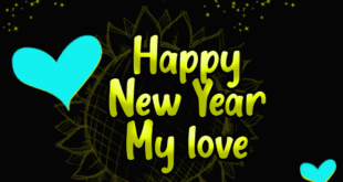 Download-happy-new-year-my-love-animation1
