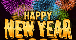 Download-New-Year-GIF-Animations-4