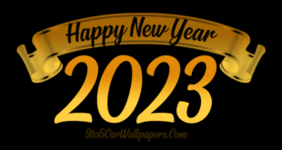 Latest-2023-best-gif-Status-Messages