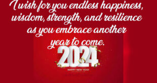 Amazing-Happy-New-year-2024-Wishes
